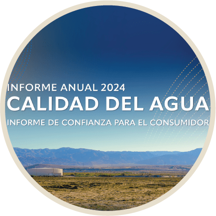2024 Spanish CCR Thumbnail